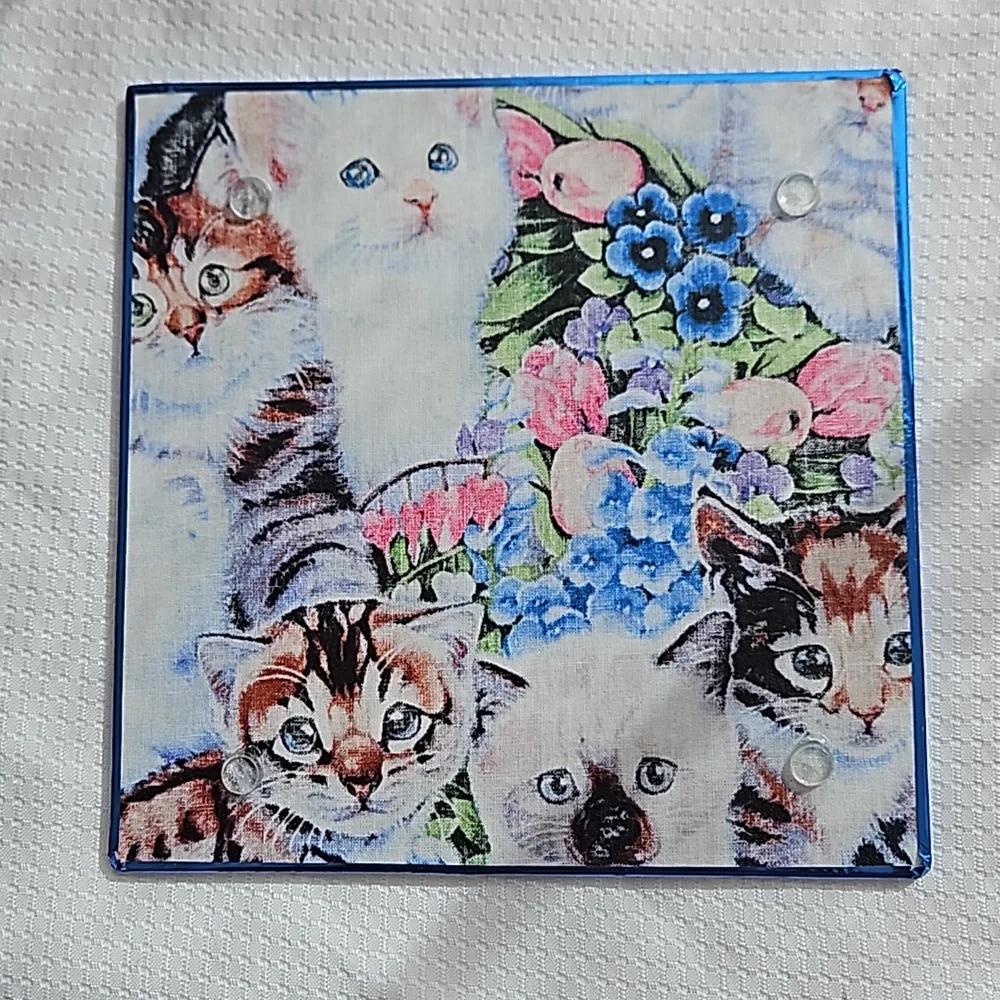 Kittens Galore  8-inch Cutting/Serving Boards Tempered Glass  Set Of Two